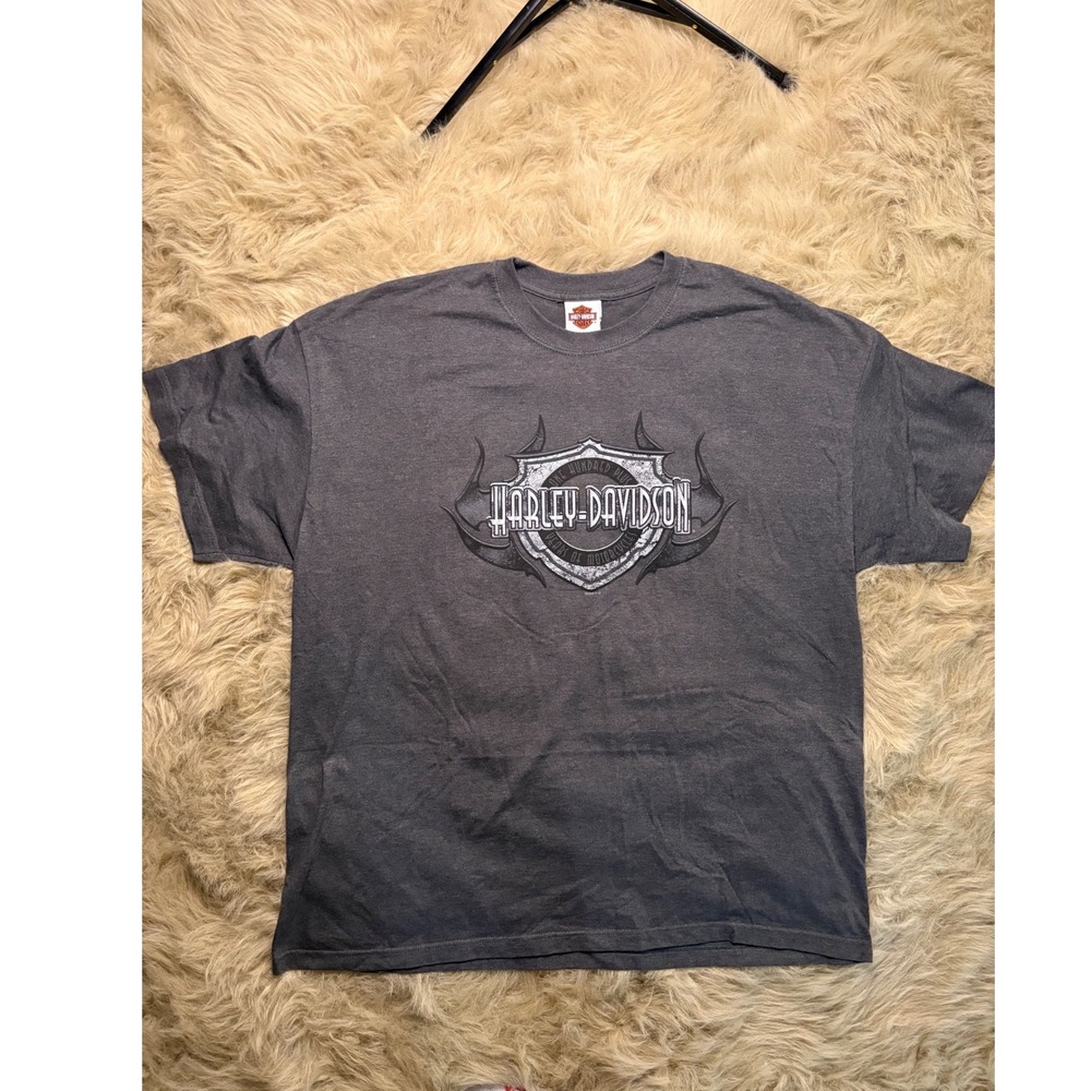 Harley-Davidson T-Shirt Mens 2XL Gray 2008 RK Stratman Hanes Beefy-T Vintage USA